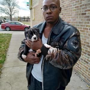 Meet your Posher, Alonzo